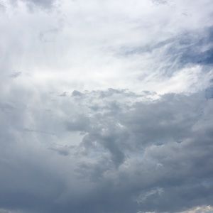 Meet your Posher, Tami